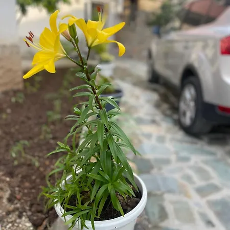 Du Blue Lini