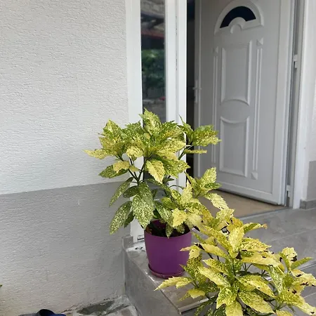 Du Blue Nyaraló Lini